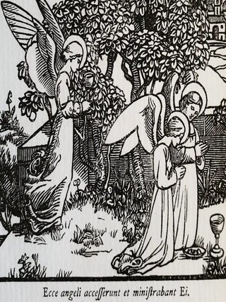 The Latin Year; With Illustrations by Robert Bateman